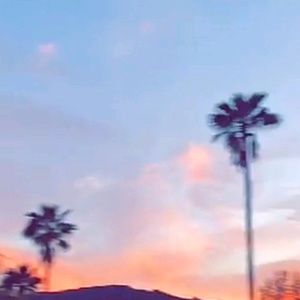 Meet your Posher, Alina